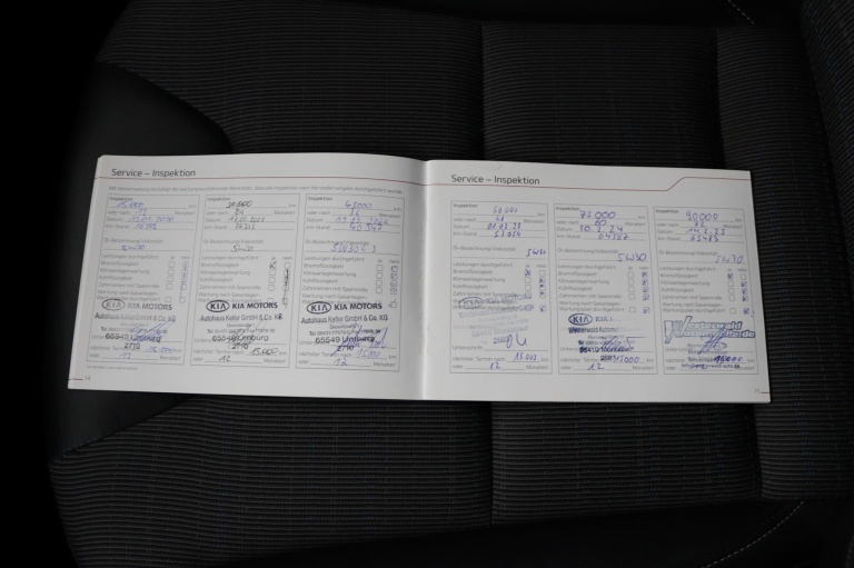 Kia Niro - 1.6 GDi Hybrid DynamicLine 42