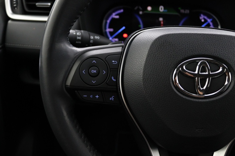 Toyota RAV4 - 2.5 Hybrid Style 19