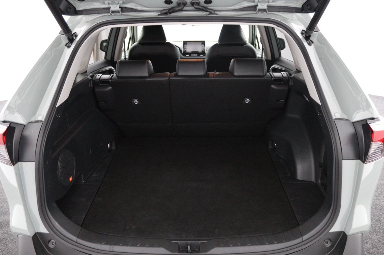 Toyota RAV4 - 2.5 Hybrid Executive 24