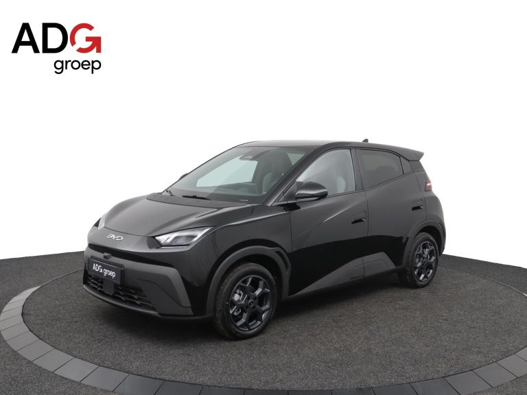 BYD DOLPHIN SURF - Comfort 43 kWh 1