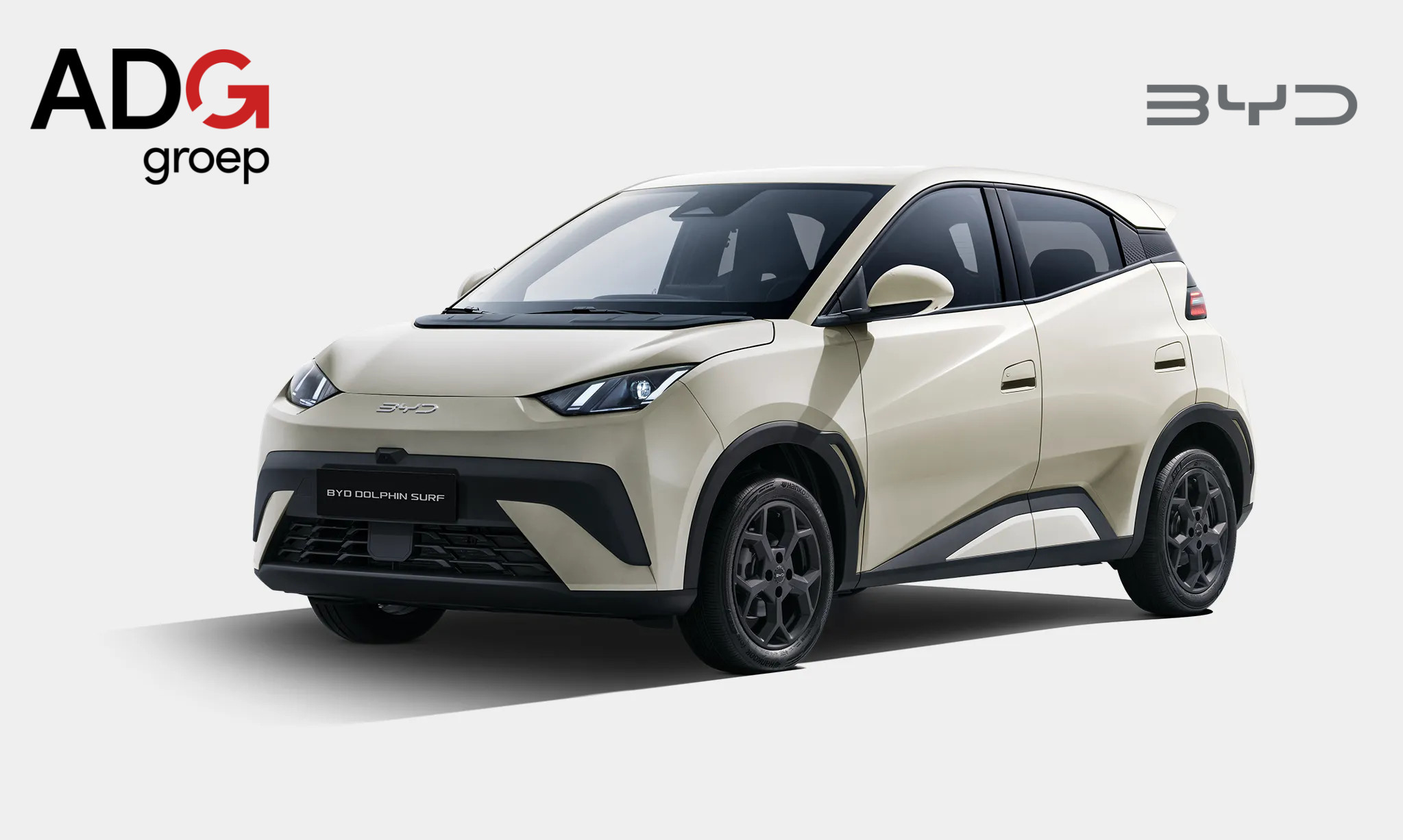 BYD DOLPHIN SURF - Boost 43 kWh