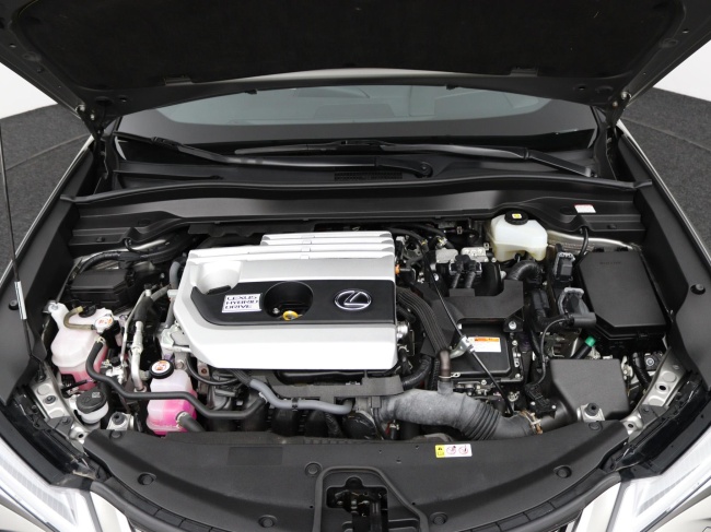 Lexus UX - 250h Luxury Line