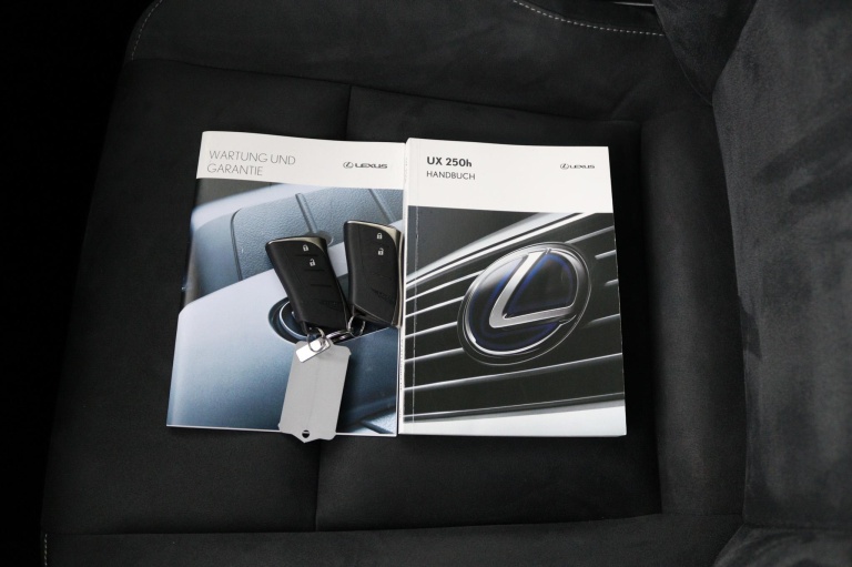 Lexus UX - 250h Business Line 11