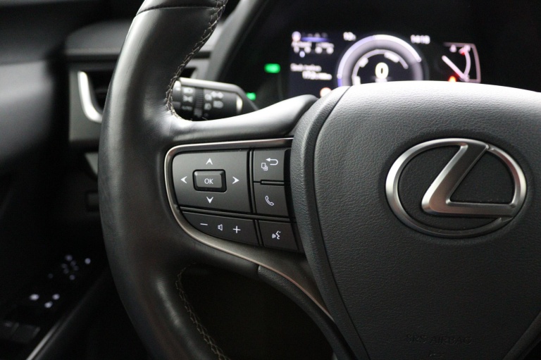 Lexus UX - 250h Business Line 19