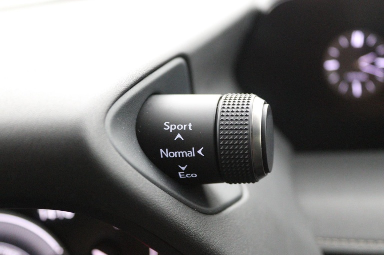 Lexus UX - 250h Business Line 39