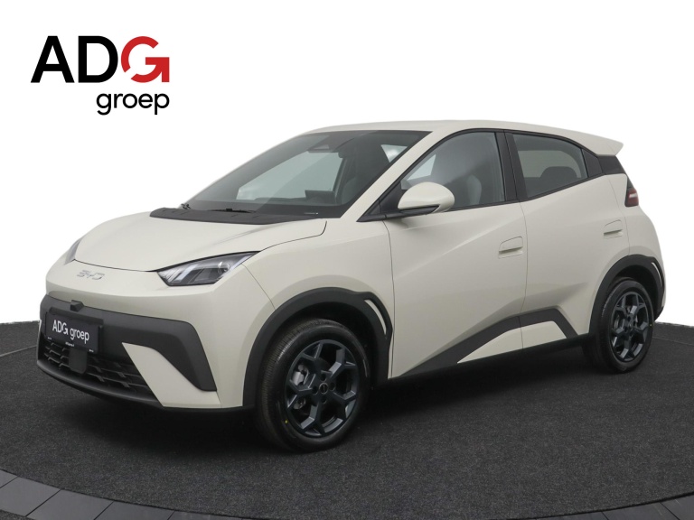 BYD DOLPHIN SURF - Boost 43 kWh 1