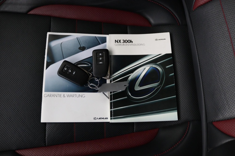 Lexus NX - 300h AWD F Sport Line 11