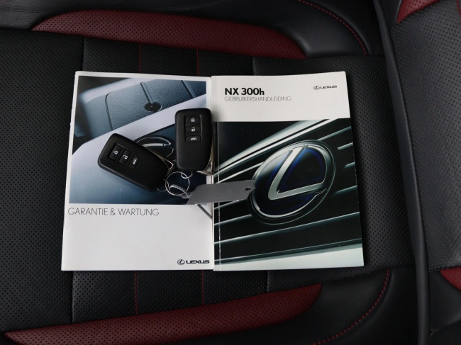 Lexus NX - 300h AWD F Sport Line