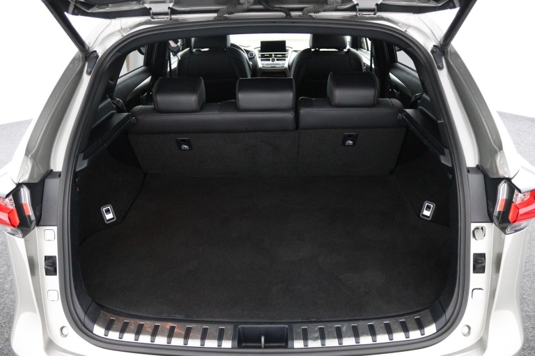 Lexus NX - 300h AWD F Sport Line 24