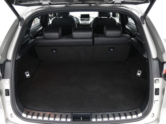 Lexus NX - 300h AWD F Sport Line