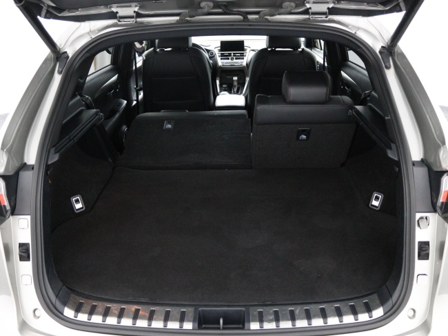 Lexus NX - 300h AWD F Sport Line