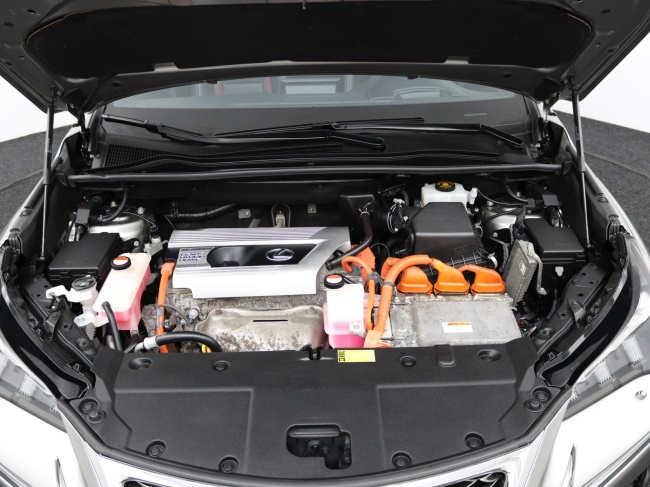 Lexus NX - 300h AWD F Sport Line