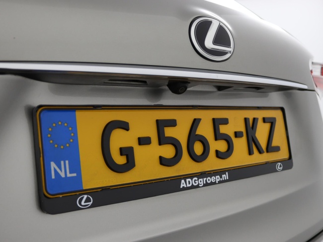 Lexus NX - 300h AWD F Sport Line