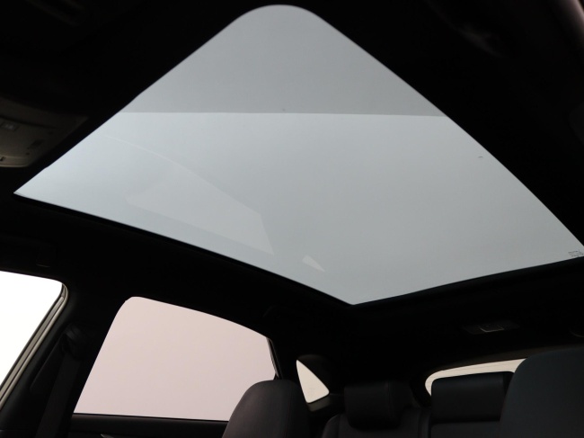 Lexus NX - 300h AWD F Sport Line