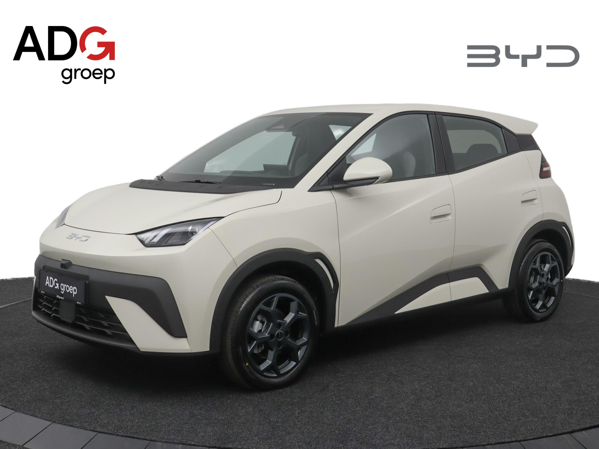 BYD DOLPHIN SURF - Comfort 43 kWh