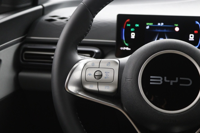 BYD DOLPHIN SURF - Comfort 43 kWh 17