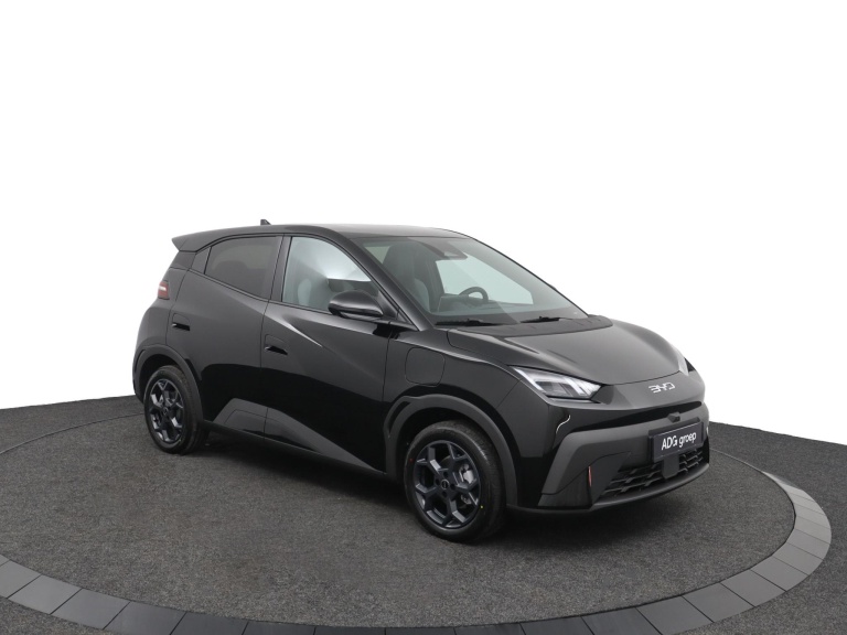 BYD DOLPHIN SURF - Comfort 43 kWh 7