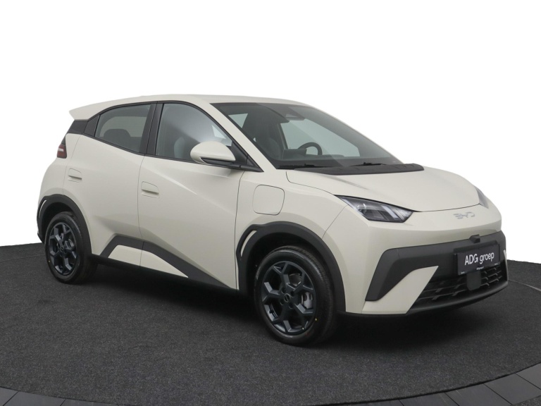 BYD DOLPHIN SURF - Comfort 43 kWh 12