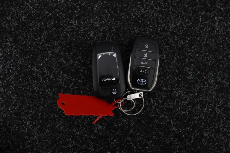 Toyota RAV4 - 2.5 Plug-in Hybrid AWD Limited Edition 16