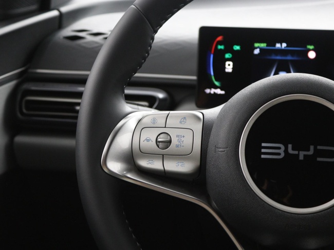 BYD DOLPHIN SURF - Boost 43 kWh