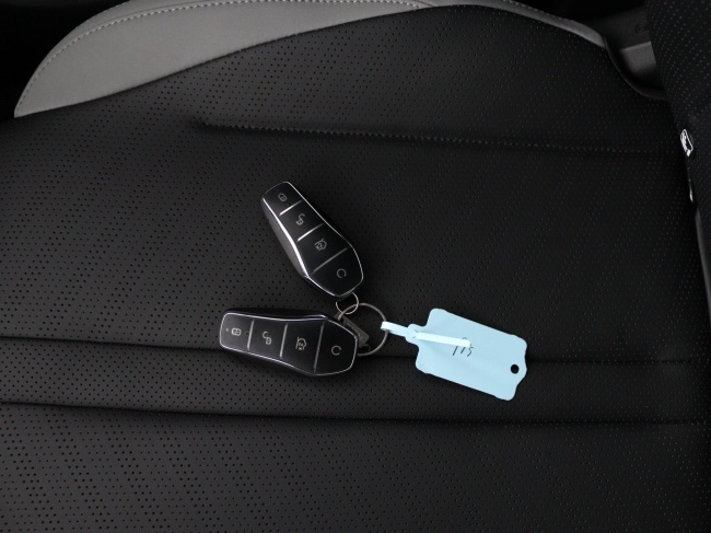 BYD DOLPHIN SURF - Comfort 43 kWh