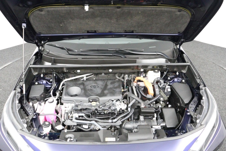 Toyota RAV4 - 2.5 Hybrid AWD Executive 33
