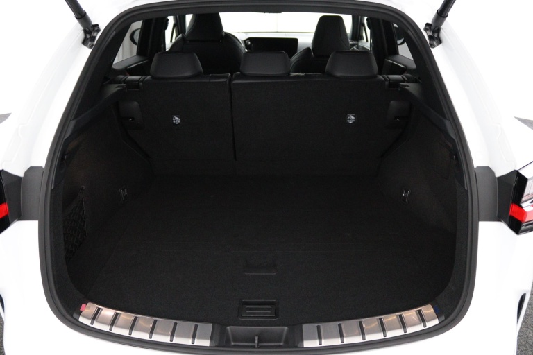 Lexus NX - 450h+ AWD F SPORT Line 23