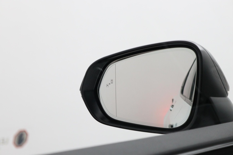 Lexus NX - 450h+ AWD F SPORT Line 51