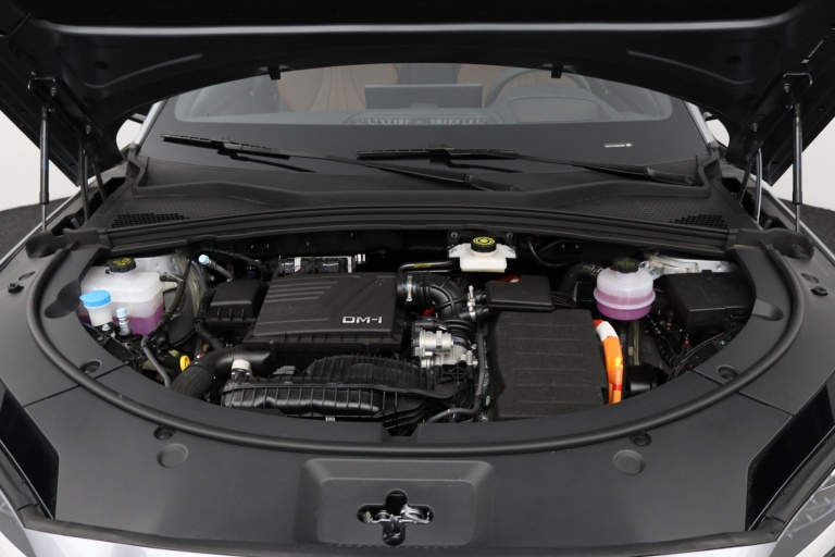 BYD SEAL U - 1.5 DM-i FWD Boost 29