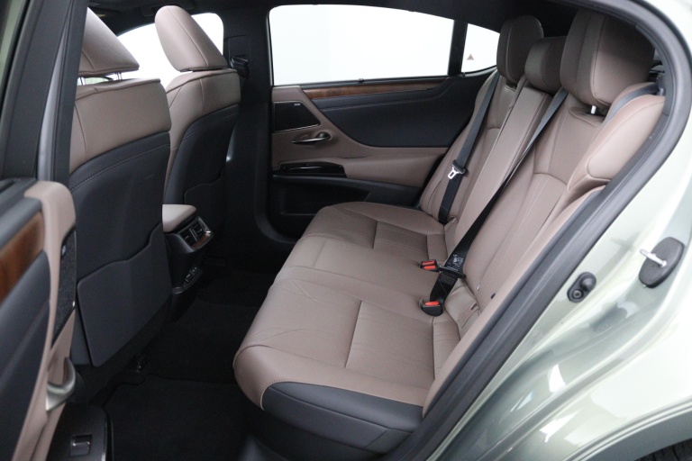 Lexus ES - 300h President Line 18