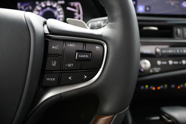 Lexus ES - 300h President Line 21