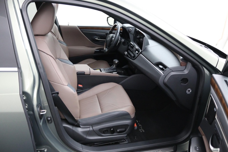 Lexus ES - 300h President Line 22