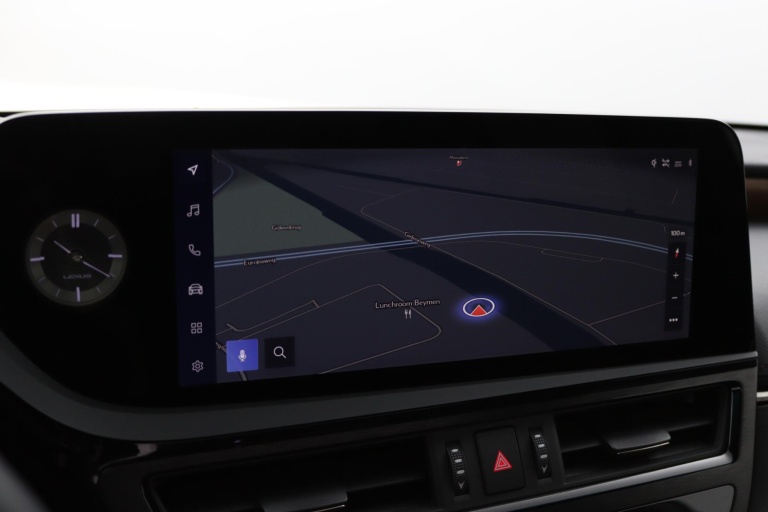 Lexus ES - 300h President Line 26