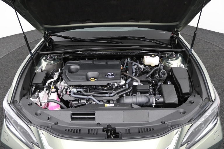 Lexus ES - 300h President Line 32