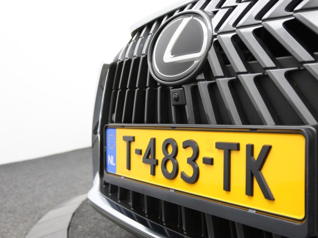 Lexus ES - 300h President Line