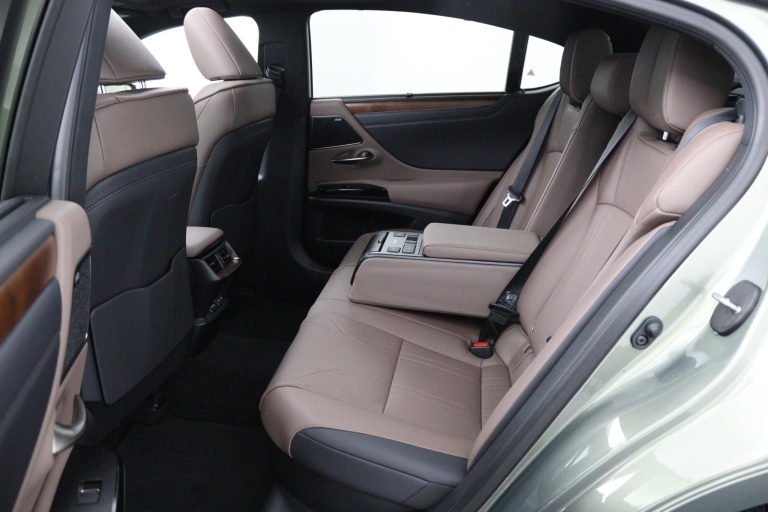 Lexus ES - 300h President Line 39