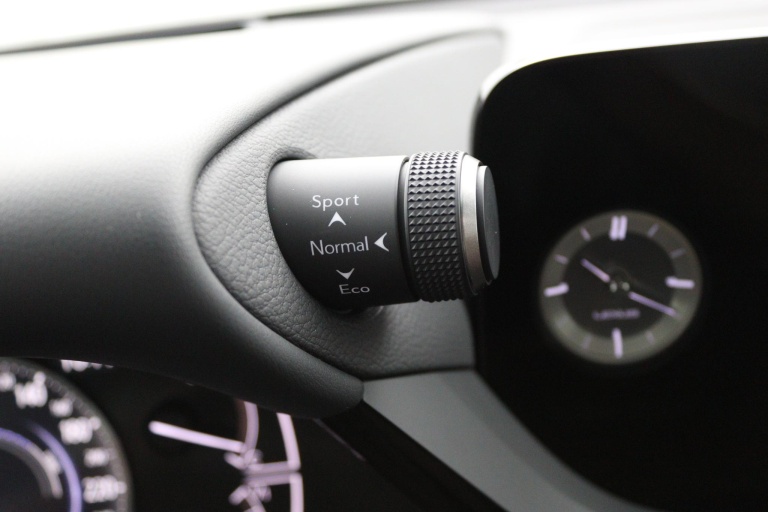 Lexus ES - 300h President Line 46