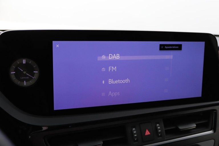 Lexus ES - 300h President Line 49