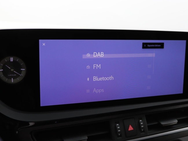 Lexus ES - 300h President Line