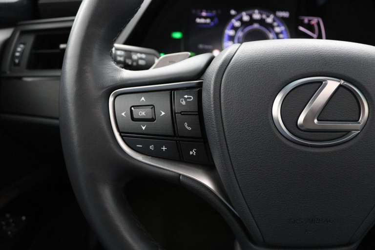 Lexus ES - 300h Business Line 19