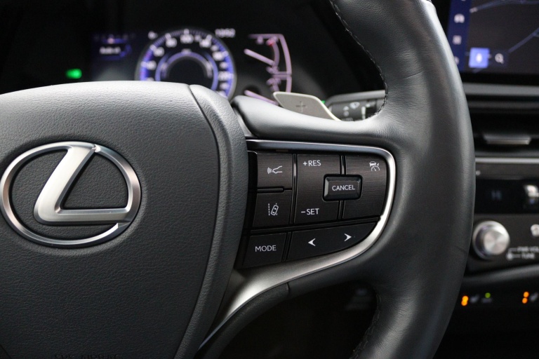Lexus ES - 300h Business Line 21