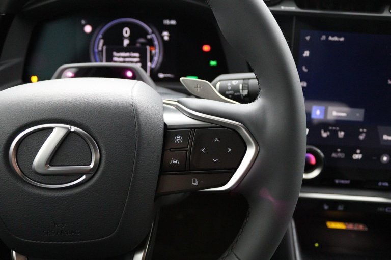 Lexus RZ - 350e 35th Edition 77 kWh 19