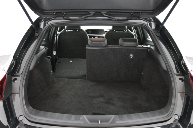 Lexus UX - 300e Business 54 kWh 24