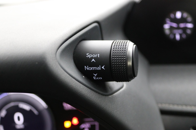 Lexus UX - 300e Business 54 kWh 39