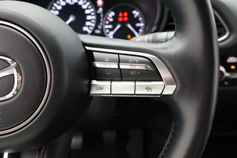 Mazda CX-30 - 2.0 e-SkyActiv-X M Hybrid Luxury 21