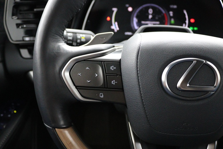 Lexus RX - 450h+ Plug-in Hybrid President Line 18