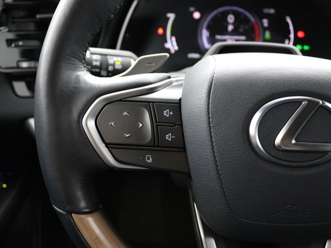 Lexus RX - 450h+ Plug-in Hybrid President Line