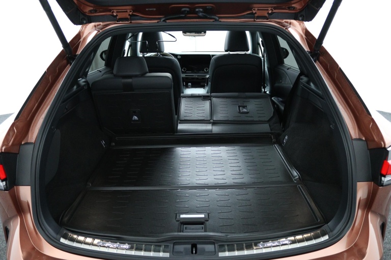 Lexus RX - 450h+ Plug-in Hybrid President Line 24