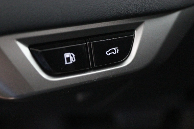 Lexus RX - 450h+ Plug-in Hybrid President Line 30