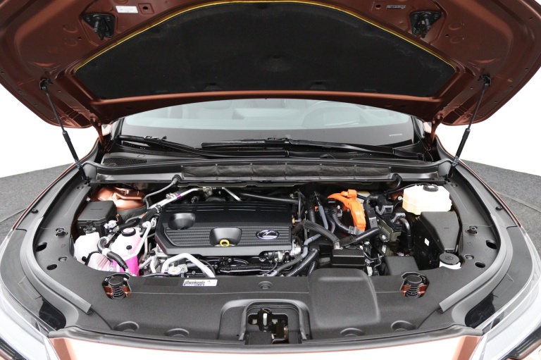 Lexus RX - 450h+ Plug-in Hybrid President Line 35